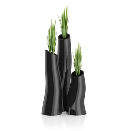 Three Plants in Black Pots