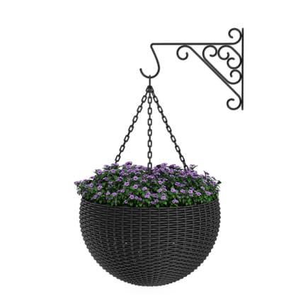 Wall Hanging Flowers