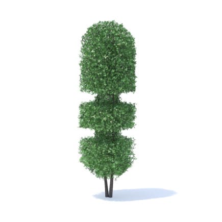 Tall Hedge 3D Model