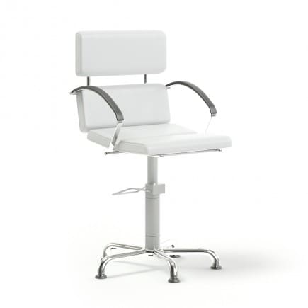 Salon Chair 3D Model