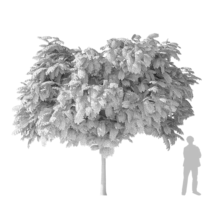 Silk Tree 3d model