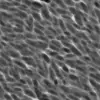 Beach Sand (5953) - Image 6