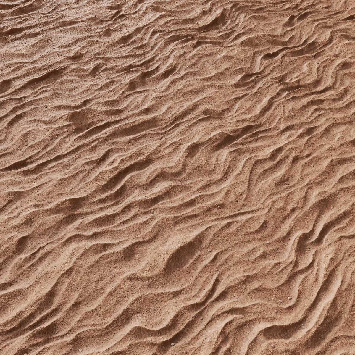 Beach Sand Seamless Background Texture — drypdesigns