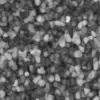 Black Ground Dirt (6087) - Image 6