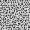 Black Porous Rock (6055) - Image 6