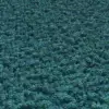 Blue Coral Reef (5978) - Image 2