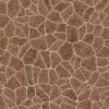 Brown Sandstone Slabs (5937) - Image 4