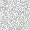 Brown Wet Stone Pavement (5967) - Image 3