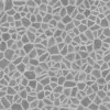 Brown Wet Stone Pavement (5967) - Image 12