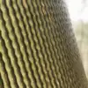 Cactus (6073) - Image 2
