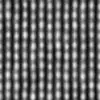Cactus (6074) - Image 6