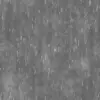 Cactus (6074) - Image 12