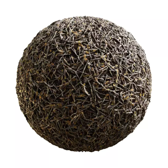 Dry Forest Ground (6057)