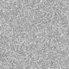Dry Forest Ground (6057) - Image 3