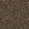 Dry Forest Ground (6057) - Image 4