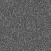 Dry Forest Ground (6057) - Image 5