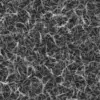 Dry Forest Ground (6057) - Image 6