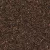 Dry Forest Ground (6059) - Image 4