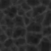 Frozen Lake (6050) - Image 12