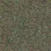 Green Coral Reef (5976) - Image 4