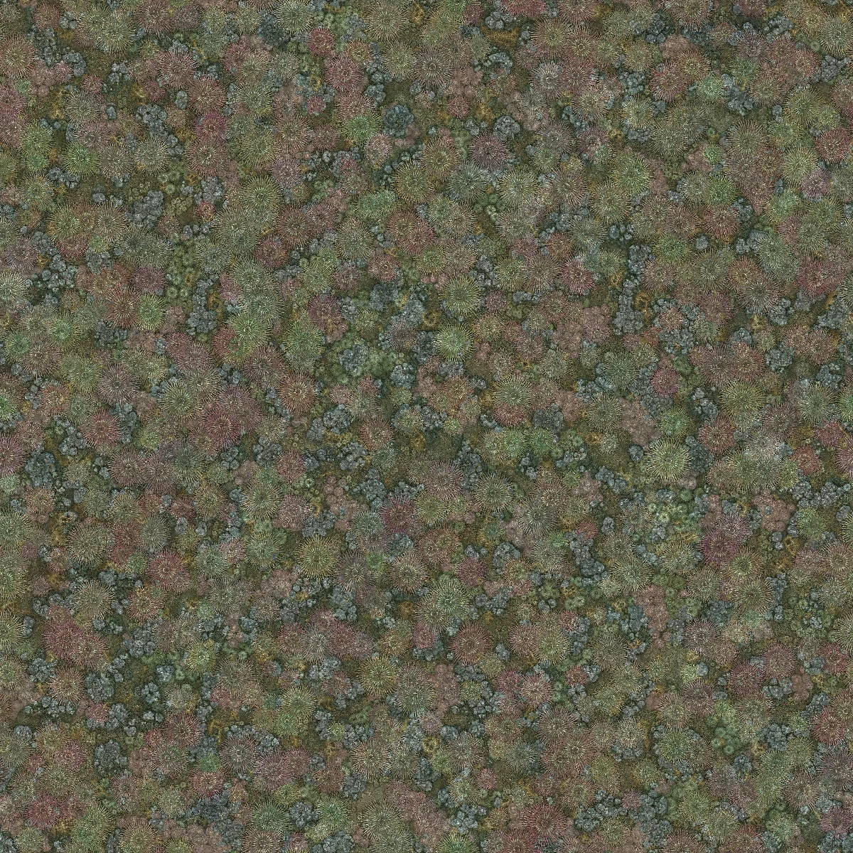 Green Coral Reef (5976) - Image 4