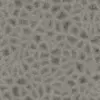 Grey Stone Tiles (5924) - Image 4