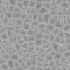 Grey Stone Tiles (5924) - Image 12