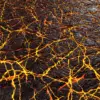 Lava Rock (6049) - Image 2