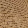 Old Orange Brick Wall (5921) - Image 2