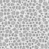 Porous Rock (6054) - Image 3