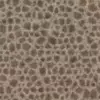 Porous Rock (6054) - Image 4