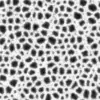 Porous Rock (6054) - Image 6