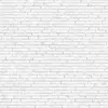 Red Brick Wall (5958) - Image 3