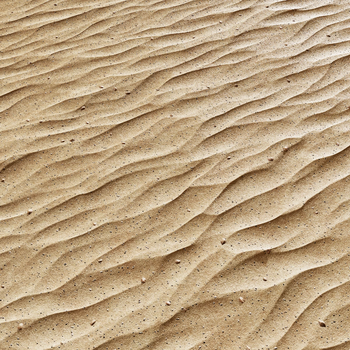 når som helst Mejeriprodukter Skygge Sand Ground PBR Texture