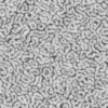 Blue Alien Guts (6169) - Image 6