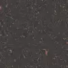 Blue And Copper Marble (6103) - Image 14