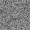 Coffee Beans (6152) - Image 5