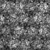Coffee Beans (6152) - Image 6