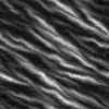 Dark Grey Rock With Moss (6109) - Image 6