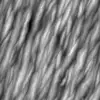 Golden Grey Rock (6191) - Image 7