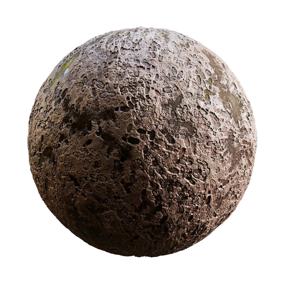 Mud With Footprints And Water PBR Texture