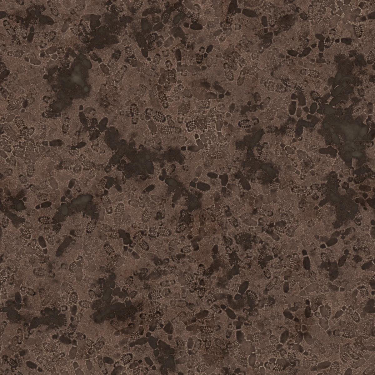 Mud With Footprints And Water (6175) - Image 4