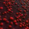 Red Biomass (6168) - Image 2