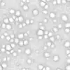 Red Biomass (6168) - Image 3
