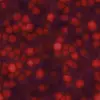 Red Biomass (6168) - Image 4