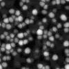 Red Biomass (6168) - Image 6