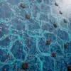Blue Circuit Board (6224) - Image 2