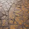 Cracked Painted Concrete (6273) - Image 2