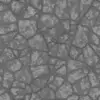 Cracked Painted Concrete (6273) - Image 5