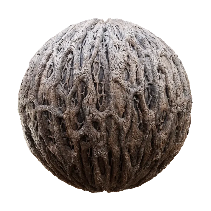 Fig Tree Bark (6241)